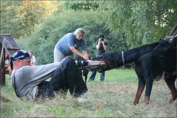 Summer training camp - Jelenec - 2007